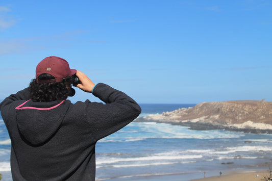 Turismo aventura en Zapallar y Maitencillo: 5 Experiencias imperdibles entre bosques y mar
