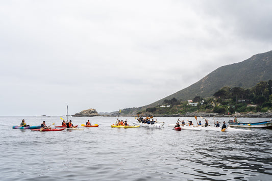 Lo que el invierno nos enseña en la costa