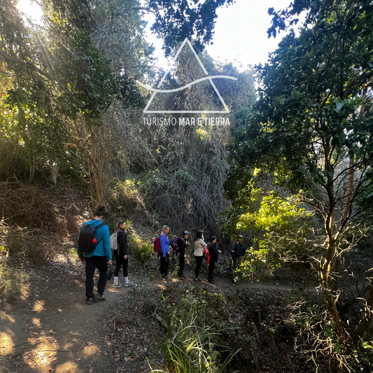 SENDERISMO GUIADO EN LITORAL COSTERO