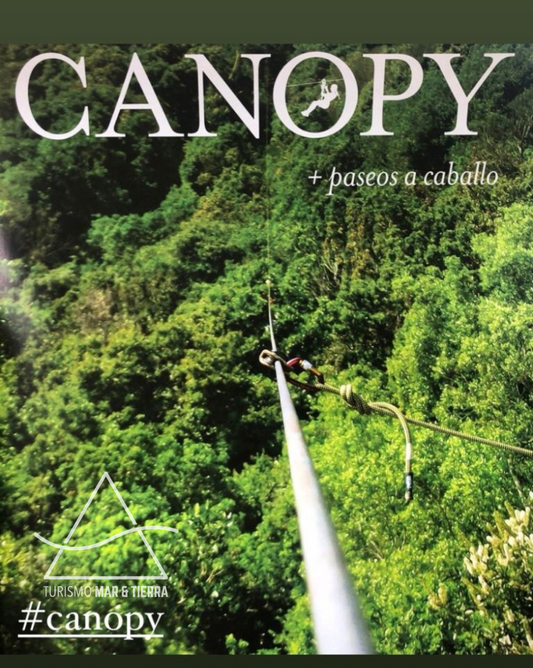 CANOPY EN CACHAGUA