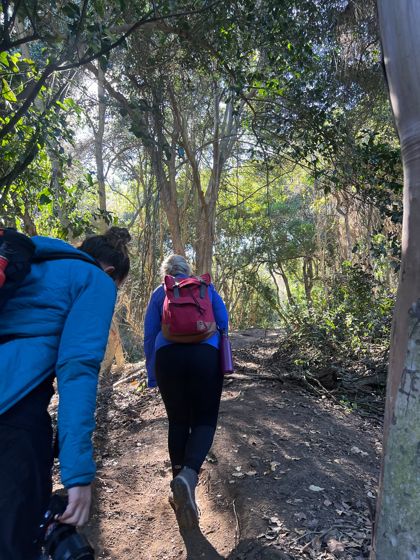 Senderismo la quebrada del tigre