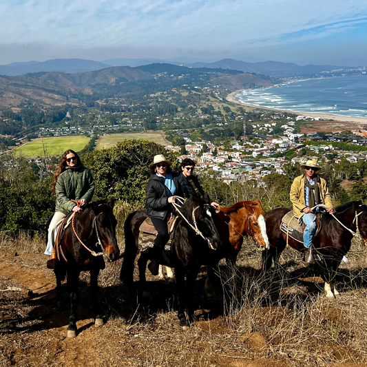 CABALGATA EN CERRO EL MOLLAR, CACHAGUA