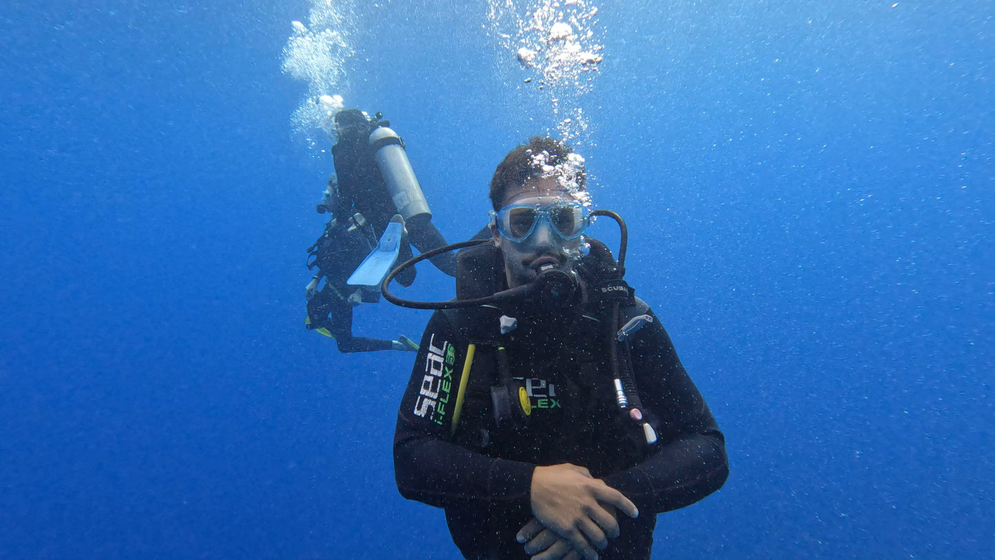BUCEO EN ZAPALLAR - MAITENCILLO o PAPUDO