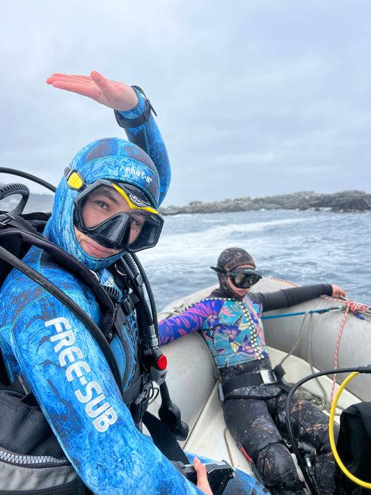 BUCEO EN ZAPALLAR - MAITENCILLO o PAPUDO