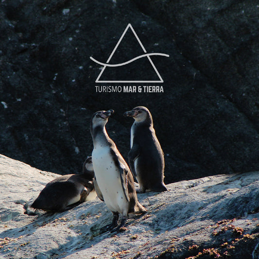 TOUR NÁUTICO A LA ISLA DE LOS PINGUINOS