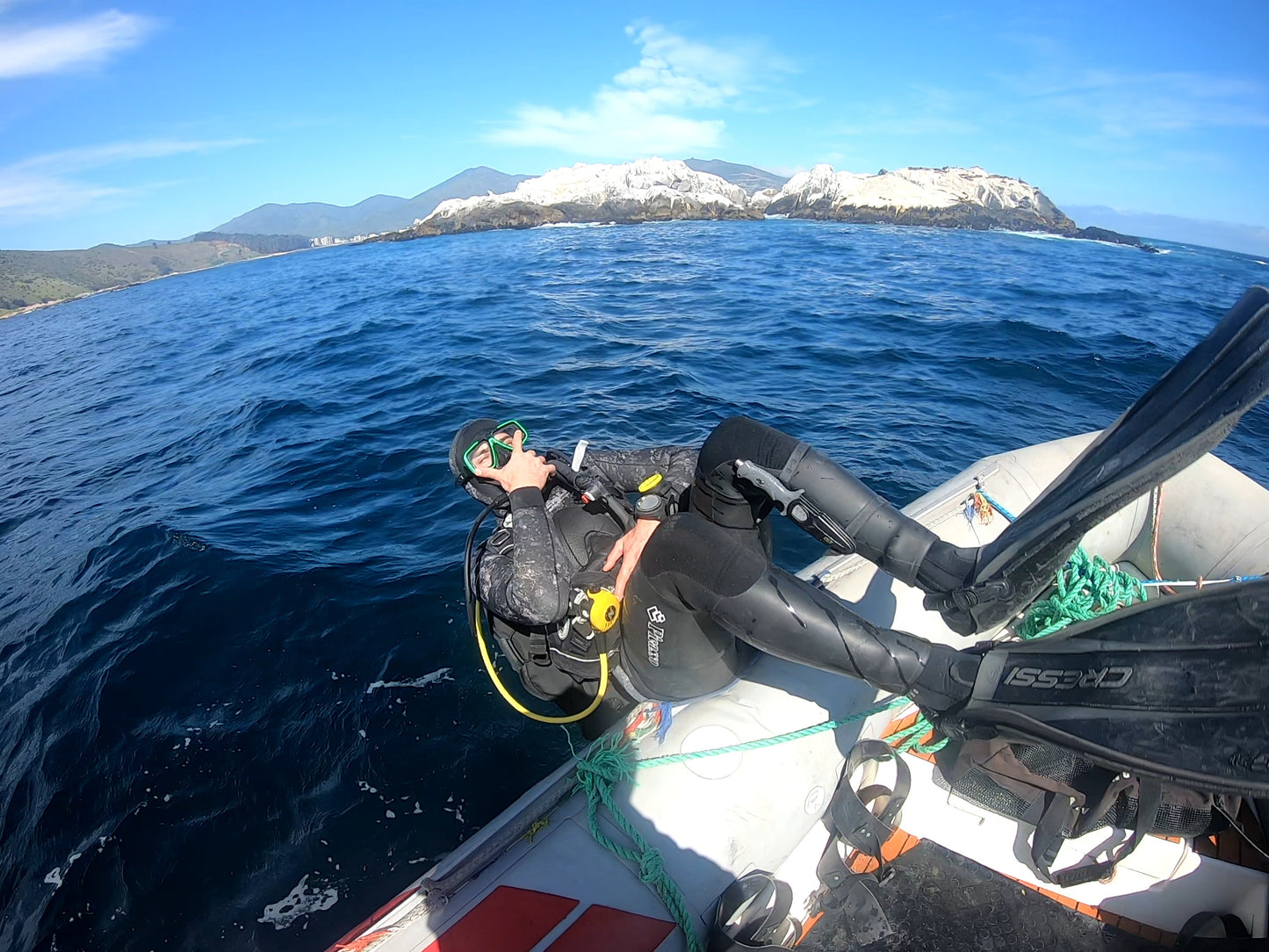BUCEO EN ZAPALLAR - MAITENCILLO o PAPUDO
