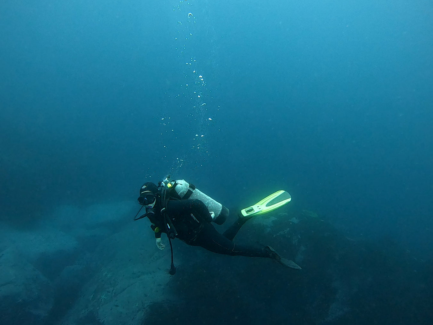BUCEO EN ZAPALLAR - MAITENCILLO o PAPUDO