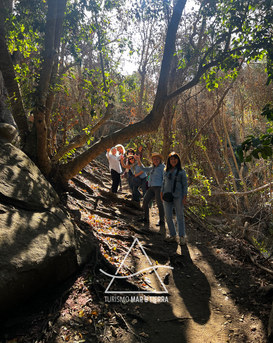 GUIDED HIKING ACTIVITY