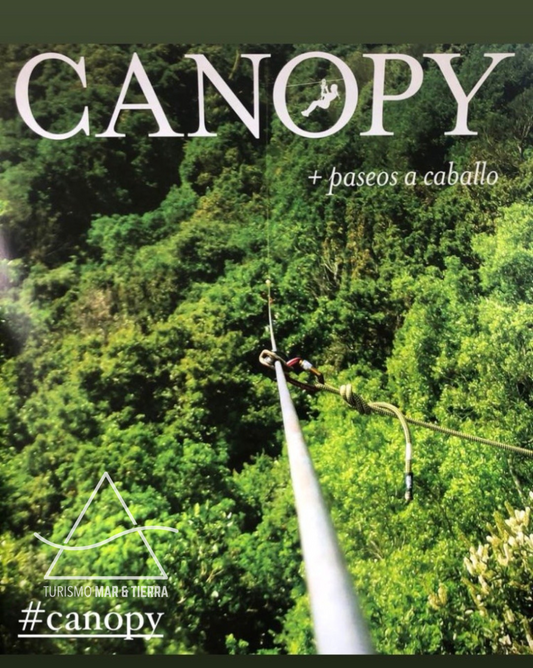 ACTIVIDAD EN CANOPY