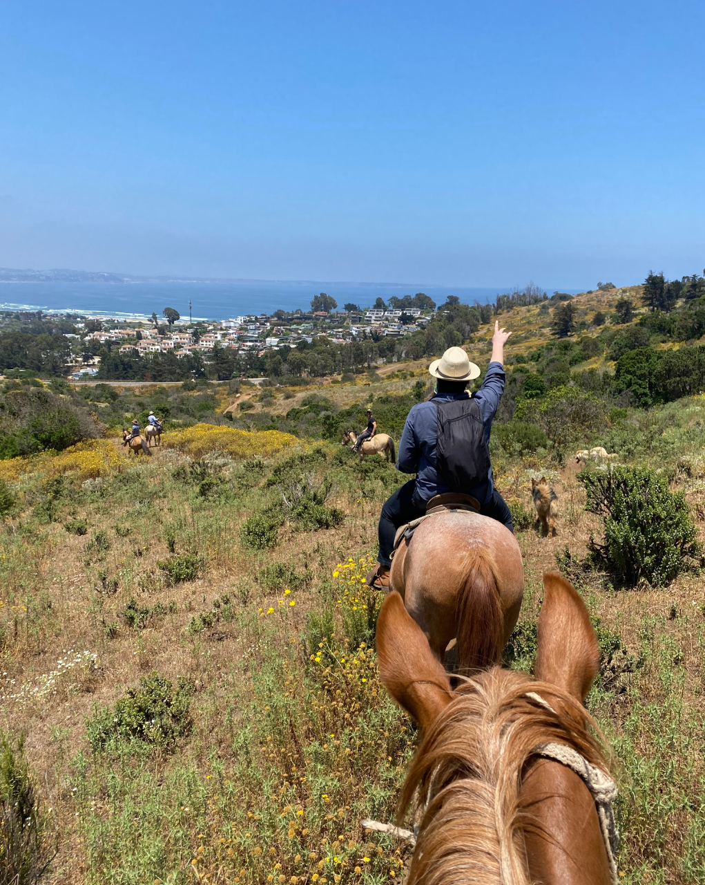 LOCAL HORSE RIDING ACTIVITY