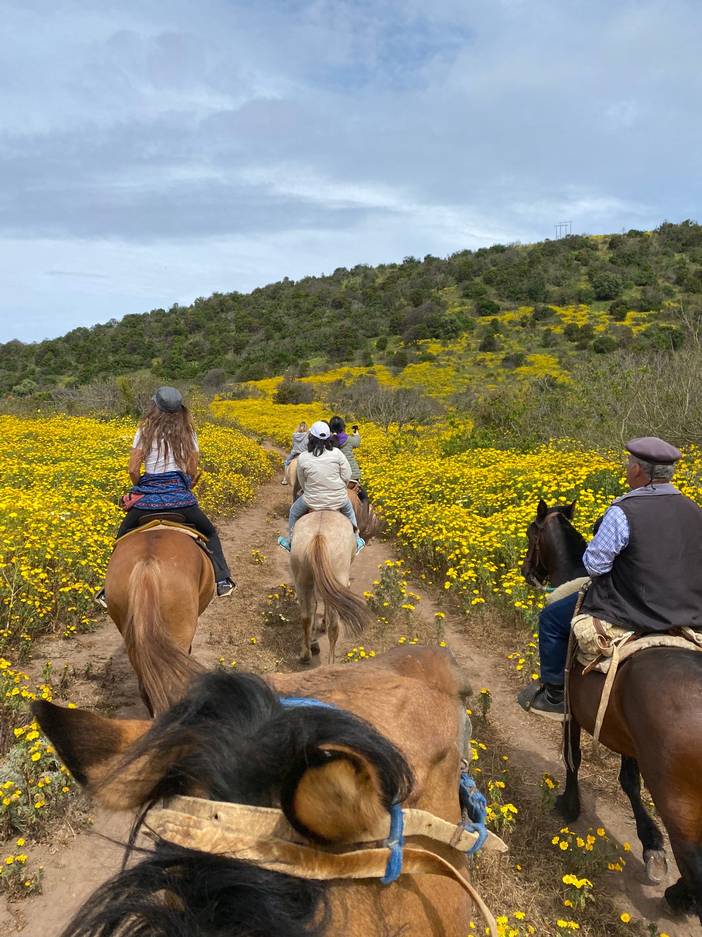 LOCAL HORSE RIDING ACTIVITY