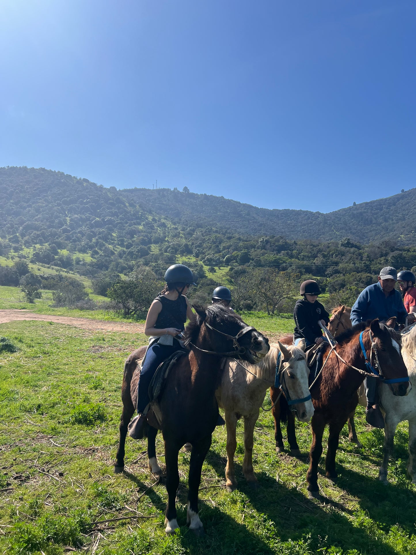 LOCAL HORSE RIDING ACTIVITY