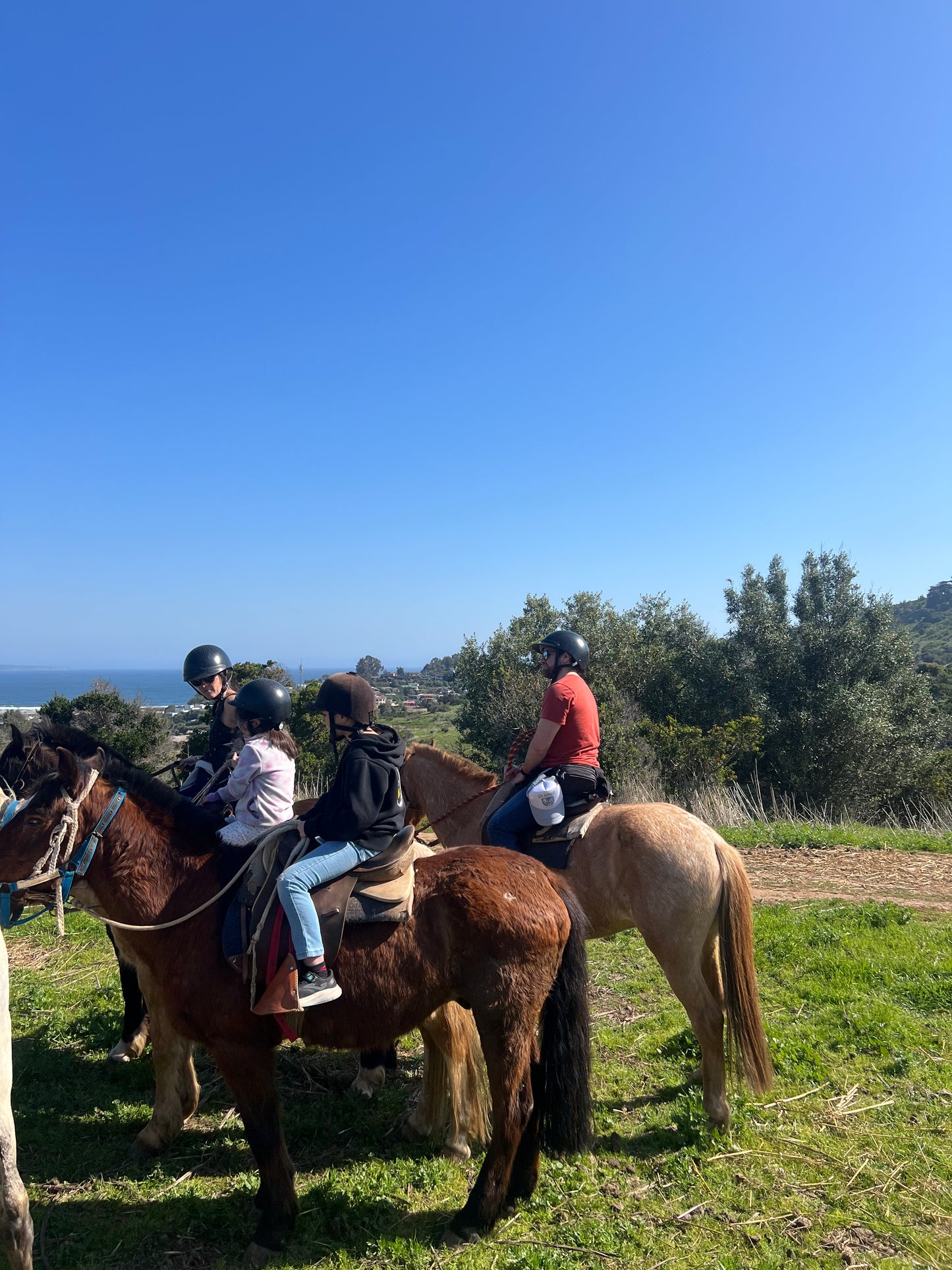 ACTIVIDAD DE CABALGATA LOCAL