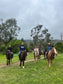 LOCAL HORSE RIDING ACTIVITY