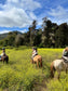 LOCAL HORSE RIDING ACTIVITY