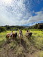 LOCAL HORSE RIDING ACTIVITY