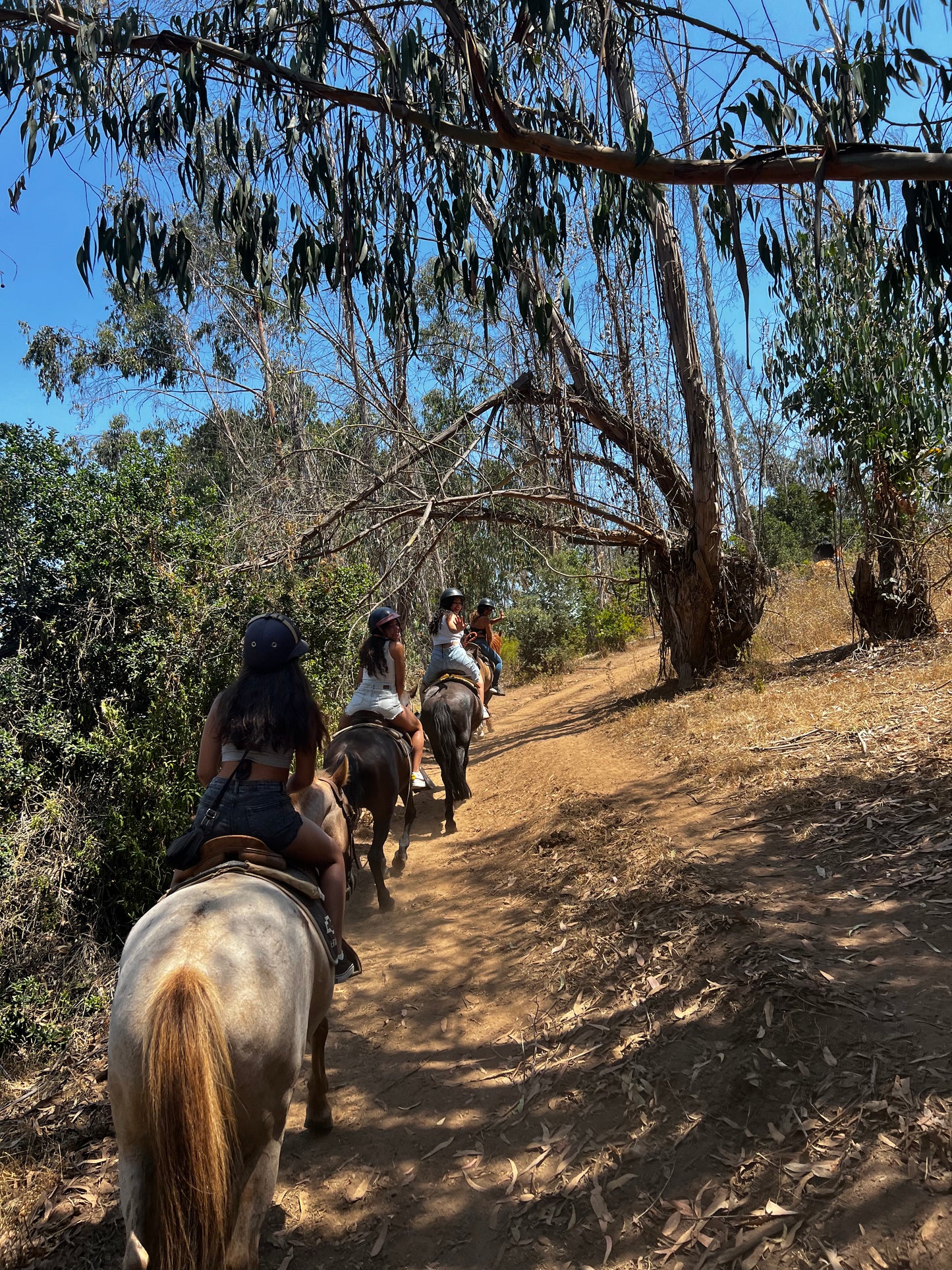 LOCAL HORSE RIDING ACTIVITY