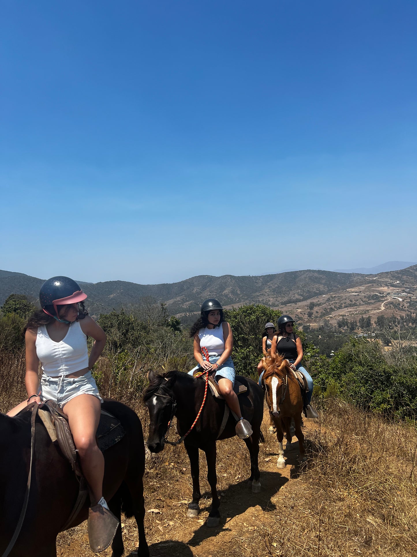 LOCAL HORSE RIDING ACTIVITY