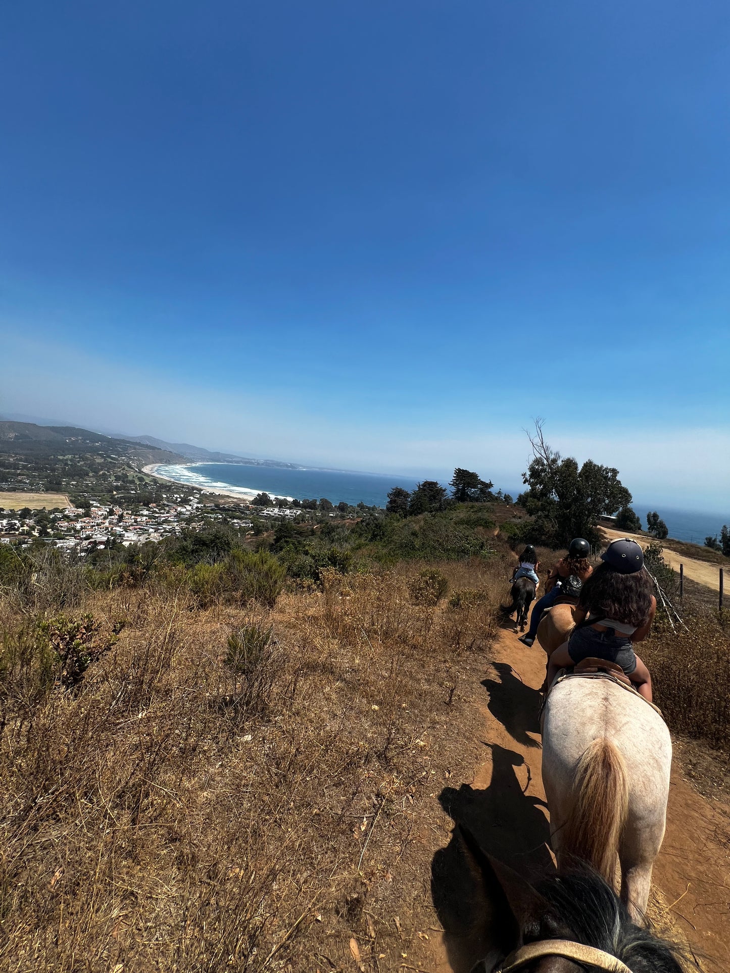 LOCAL HORSE RIDING ACTIVITY