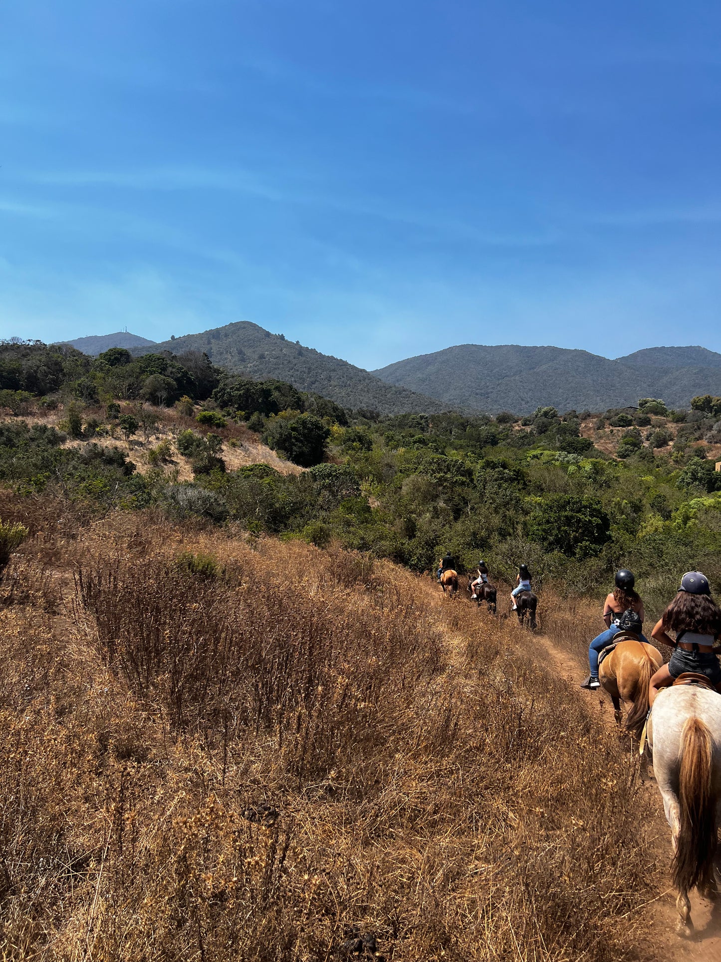 LOCAL HORSE RIDING ACTIVITY