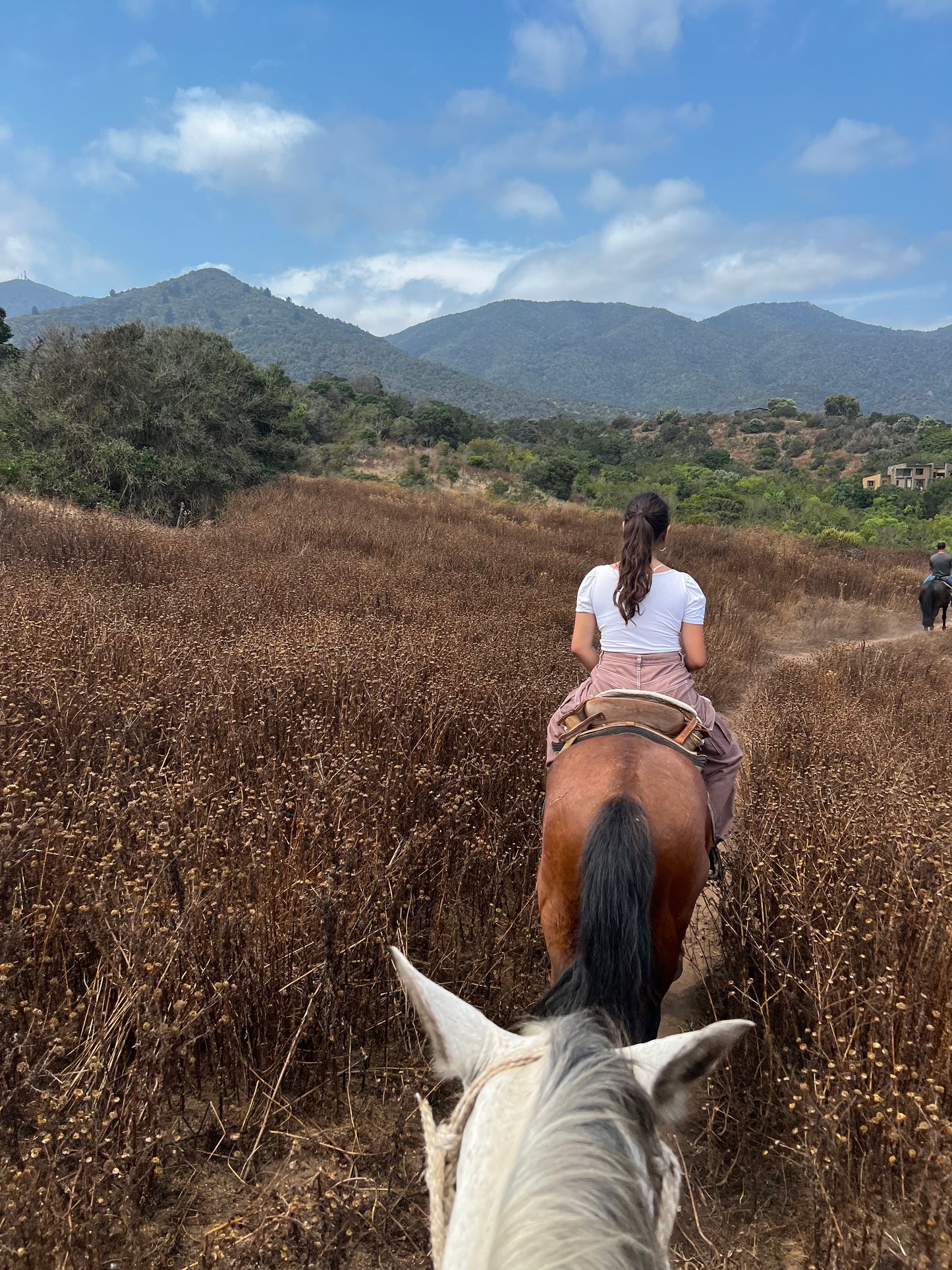 LOCAL HORSE RIDING ACTIVITY