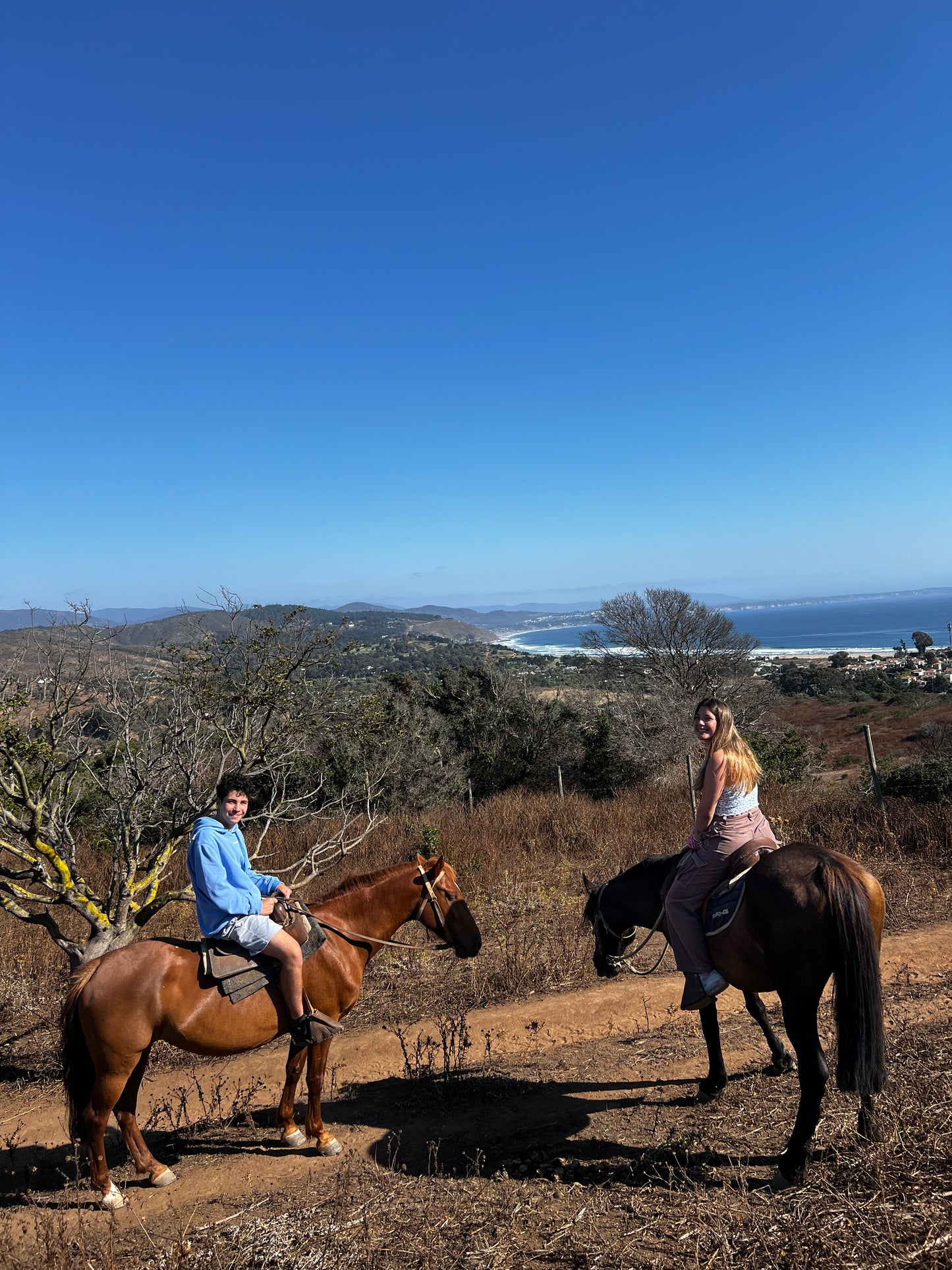 LOCAL HORSE RIDING ACTIVITY