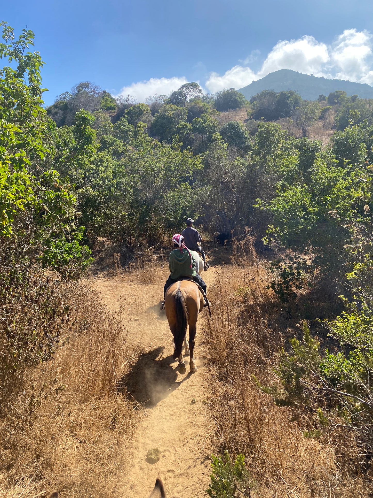 LOCAL HORSE RIDING ACTIVITY