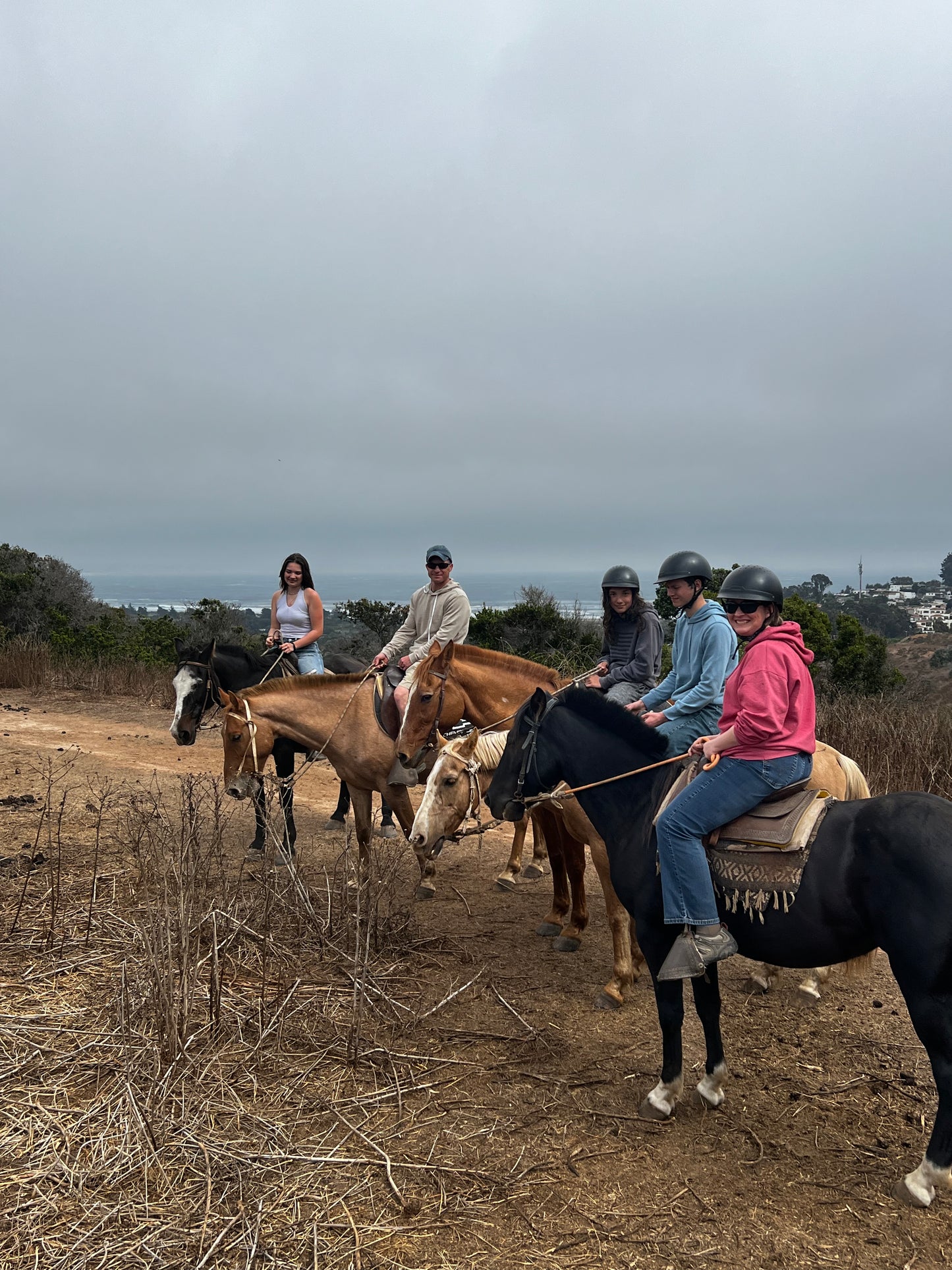 LOCAL HORSE RIDING ACTIVITY