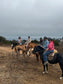 ACTIVIDAD DE CABALGATA LOCAL