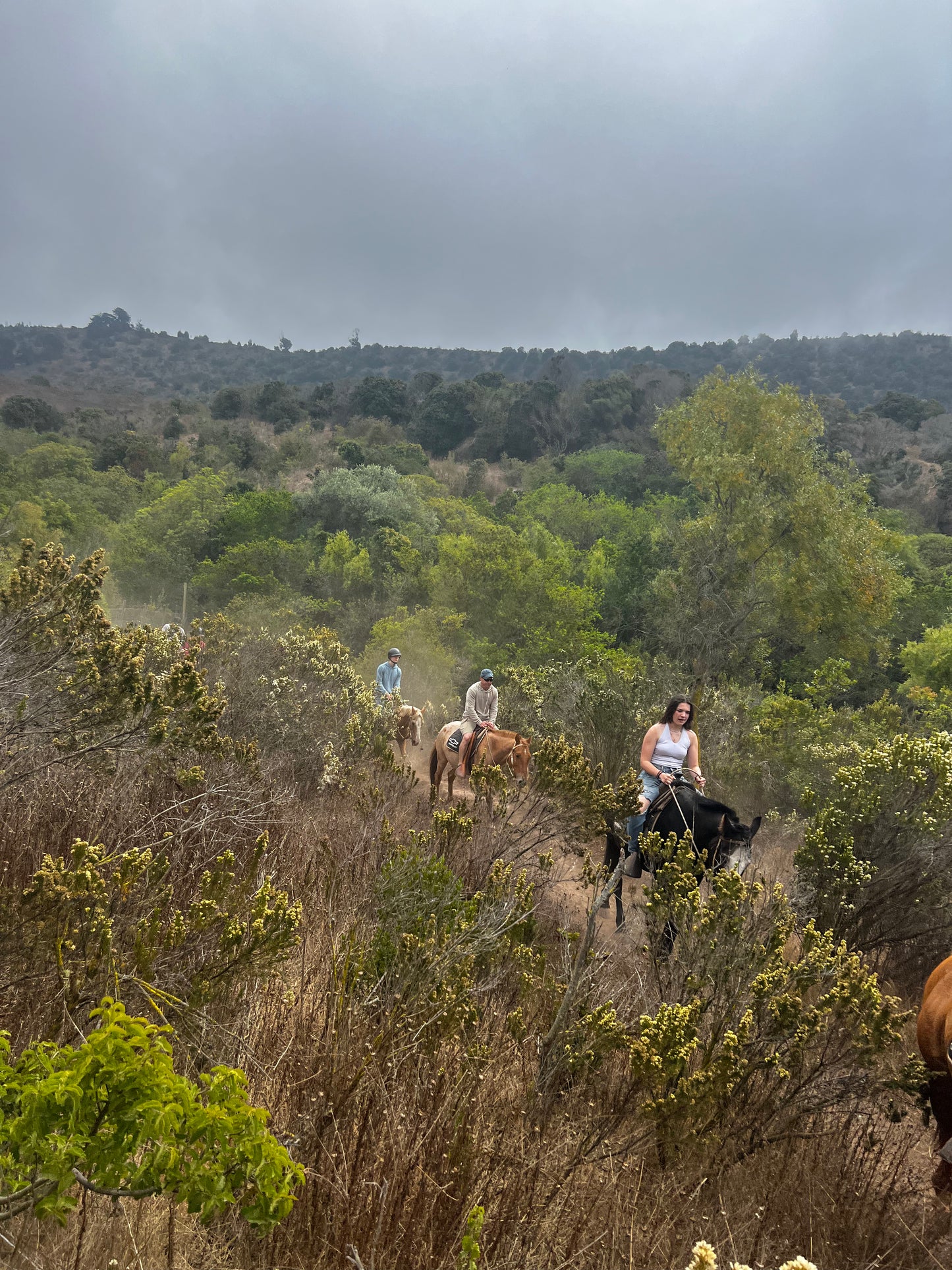 LOCAL HORSE RIDING ACTIVITY