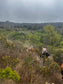 LOCAL HORSE RIDING ACTIVITY