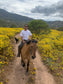 LOCAL HORSE RIDING ACTIVITY