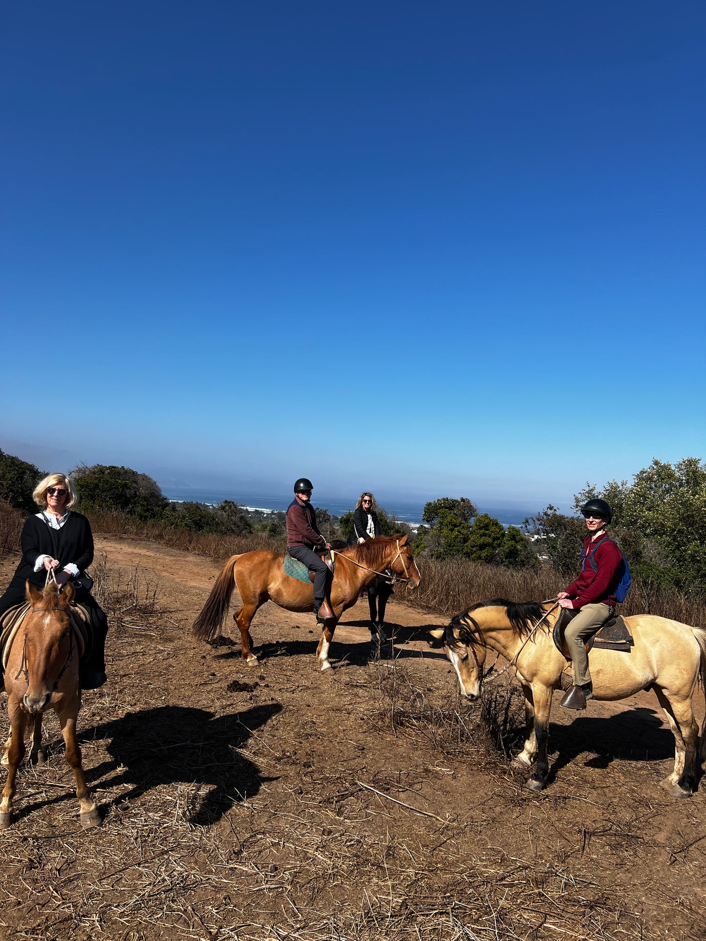 LOCAL HORSE RIDING ACTIVITY