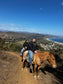 LOCAL HORSE RIDING ACTIVITY