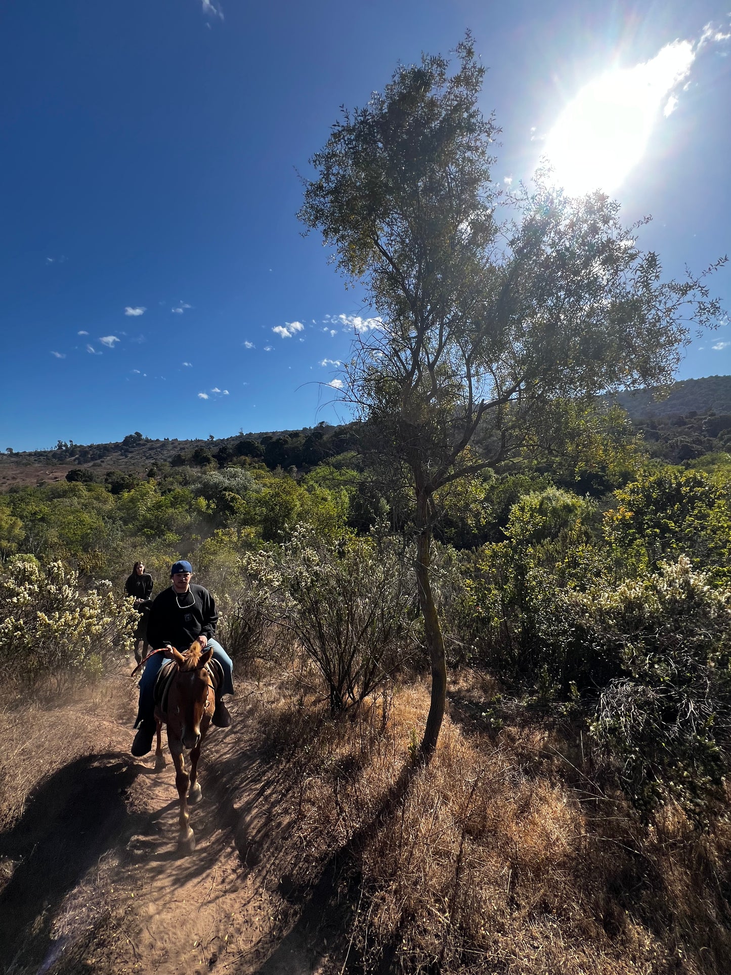 LOCAL HORSE RIDING ACTIVITY