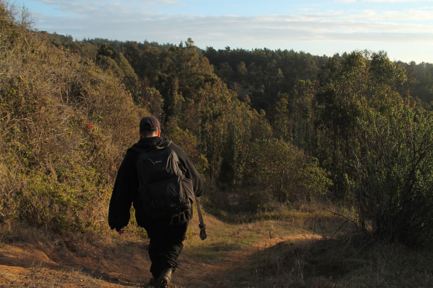 GUIDED HIKING ACTIVITY