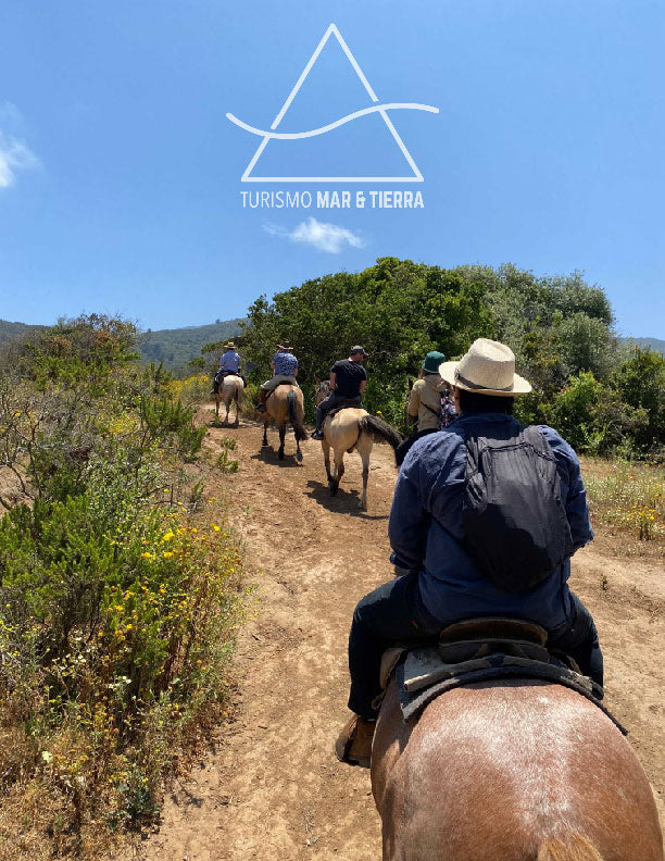 LOCAL HORSE RIDING ACTIVITY