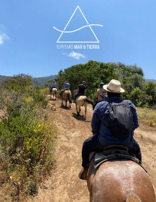 ACTIVIDAD DE CABALGATA LOCAL