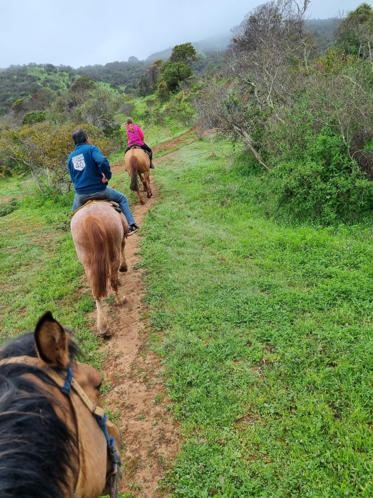 ACTIVIDAD DE CABALGATA LOCAL